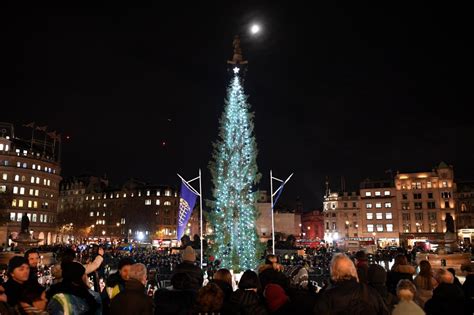 why does norway send a christmas tree to uk